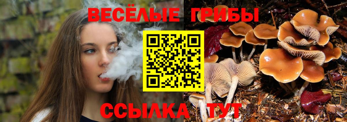 Псилоцибиновые грибы мицелий Калуга