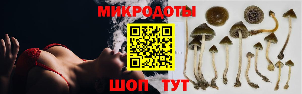 Галлюциногенные грибы прущие грибы  Галлюциногенные грибы Psilocybine cubensis  Вход с VPN  Калуга 